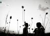 Someday, by Phillip Biboso
