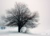 A Walk in Winter, by Didier Sibourg
