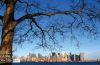 Tickling Manhattan, by Nancy Sámano