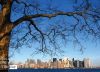 Tickling Manhattan, by Nancy Sámano