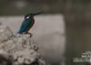 Gazing at, by Tareq Uddin Ahmed