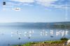 Lake Nakuru, by Mohammad Saiful Islam