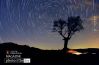 Star Trails, by Abo Inshad