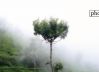 The Way to the Heaven, by Subhashish Nag Choudhury