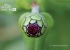 The Source of Life, by Subhashish Nag Choudhury