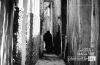 Across the Alley, by Mohammad Saiful Islam