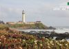 Pigeon Point Light Station by Elizabeth Brown