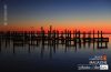 Pelican Rest, by Barry Steven Greff