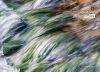 Water Art, by Dawid Theron