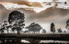 Gouda Landscape, by Dawid Theron