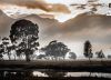 Gouda Landscape, by Dawid Theron