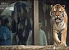 Eager for Action, by Ajit Chouhan
