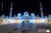 Mosque by Night, by Sanjoy Sengupta