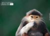 Breakfast Time, by Sanjoy Sengupta