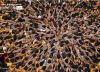 Hands of Unity, by Sudeep Mehta