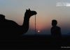 The Nomadic Silhouette, by Sudeep Mehta