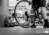 Timeless, by Stephen Chu