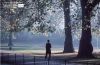 Caretaker Hyde Park, London, in 1985, by Gerardo Simonetti