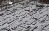 Snow Covered Cars, by Des Brownlie