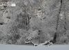 Winter in the Park, by Des Brownlie