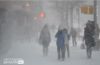 Snow Day, by Des Brownlie