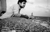 Life Cycle by Muhammed Najeeb