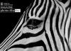 Black and White, by Daniele Lembo