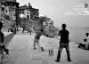 Cricket on Stones by Vishal Arora