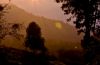 First Light, by Sagarika Roy
