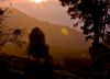 First Light, by Sagarika Roy