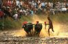 Kambala, a Village Sports, by Achintya Guchhait