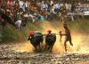 Kambala, a Village Sports, by Achintya Guchhait