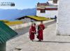 Tea Break with Little Monks, by Naba Kumar Mondal