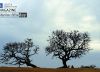 Childhood Memories, by Keeny Newton