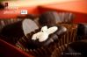 Chocolate! by Swaroop Singha Roy