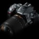 Nikon D5300 - Nikon D5300, photography tutorials, photojournalism, photography tips, online photography courses