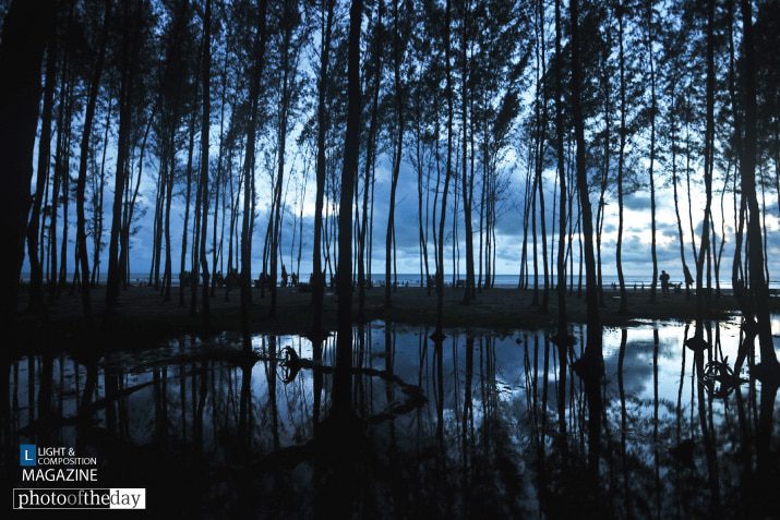 Silent Trees in a Watery Unset by Mostafa Monwar Silent Trees in a Watery Unset by Mostafa Monwar - Nature Photography, Photo of the Day, Photography Awards, Art Photography, Online Photography Courses