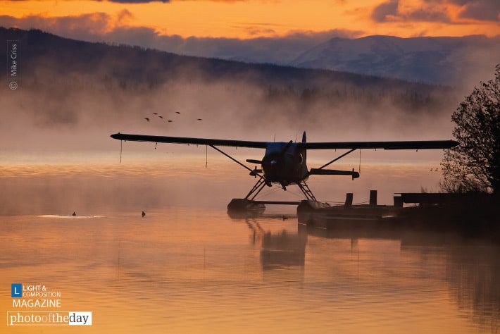 Homer, by Mike Criss