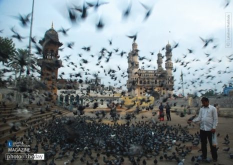 Calm Amidst the Flurry by Lakshmi Prabhala - Motion Photography, Photography Awards, Photojournalism, Art Photography, Online Photography Courses