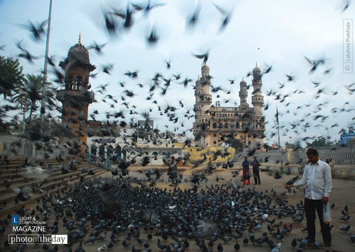 Calm Amidst the Flurry by Lakshmi Prabhala Calm Amidst the Flurry by Lakshmi Prabhala - Motion Photography, Photography Awards, Photojournalism, Art Photography, Online Photography Courses