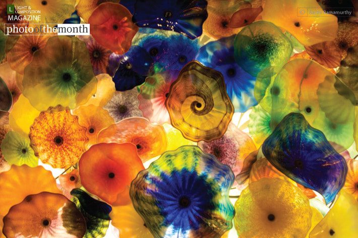 Photo of the Month | 2010 | July - Photo of the Month, Photography Awards, Photography Competition,  Art Photography, Online Photography Courses