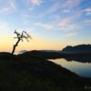 The Lone Tree, by Siw Camilla Johnsen - Nature Photography, Award Winning Photography, Photo of the Day, Photography Awards, Art Photography