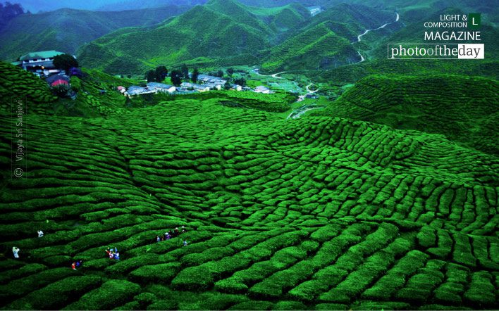 Garden of Bliss, by Vijaya Sri Sanjevi Garden of Bliss, by Vijaya Sri Sanjevi