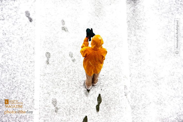 Let's Play by Fernando RodrÃguez Let's Play by Fernando RodrÃguez - Color Photography, Photo of the Day, Award Winning Photography, Photography Education, Online Photography Courses