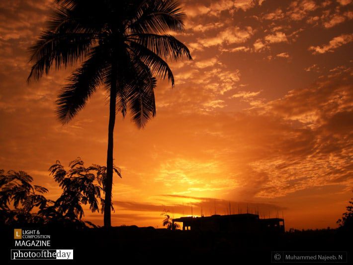 Particle Sunset, by Muhammed Najeeb