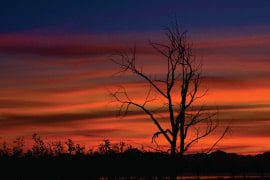 An Exclusive Interview with Aarthi Ramamurthy An Exclusive Interview with Aarthi Ramamurthy - Photography Interview, Macro Photography, Nature Photography, Photography Hobby, Photographer Interview