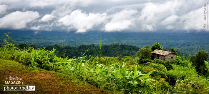 The Neverland, by Tanmoy Saha - Nature Photography, Photography Awards, Photo of the Day, Award Winning Photography, Online Photography Courses
