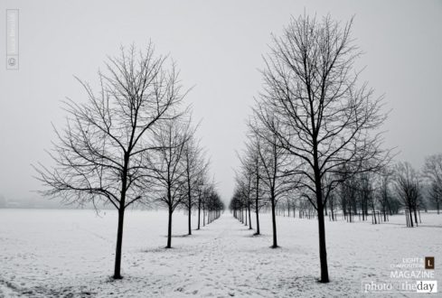 Rows, by Luca Renoldi - Nature Photography, Photo of the Day, Photography Awards, Art Photography, Luca Renoldi