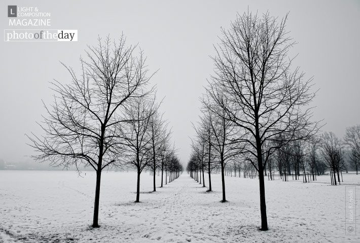 Rows, by Luca Renoldi Rows, by Luca Renoldi