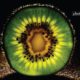 Kiwi by Joaquín Alonso Arellano Ramírez - Food Photography, Photography Awards, Photo of the Day,  Award Winning Photography,  Macro Photography